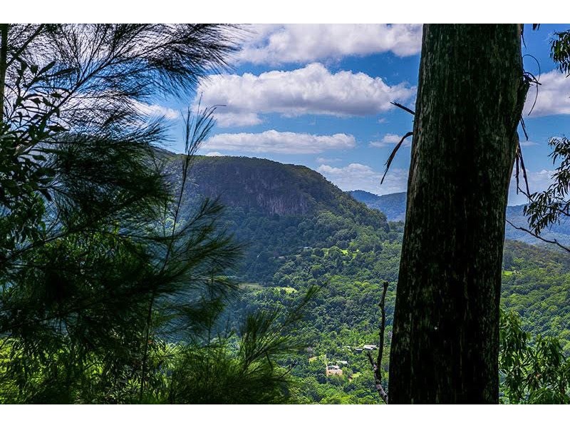 Wilsons Creek NSW 2482