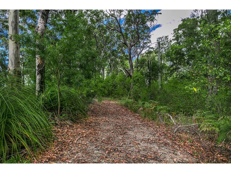 Wilsons Creek NSW 2482