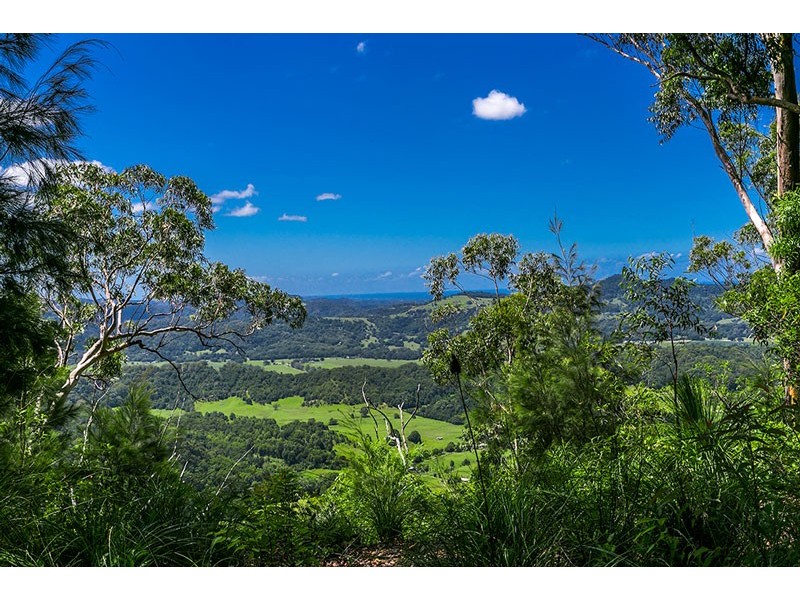 Wilsons Creek NSW 2482