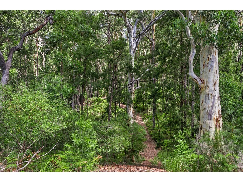 Wilsons Creek NSW 2482