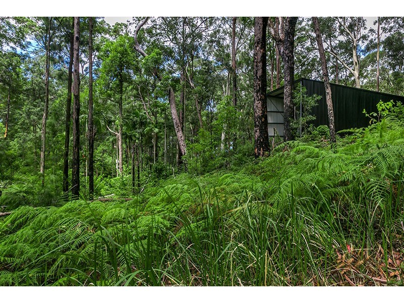 Wilsons Creek NSW 2482