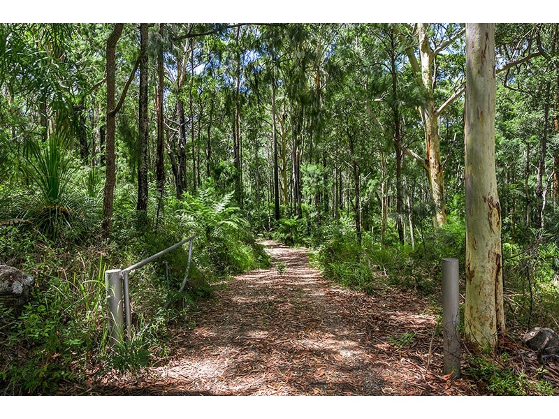 Wilsons Creek NSW 2482