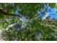# 182 Rocky Creek Dam Road, Dunoon NSW 2480