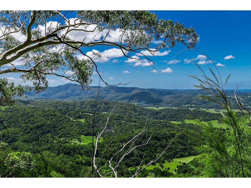 Lot 4 Koonyum Range Road, Wilsons Creek NSW 2482