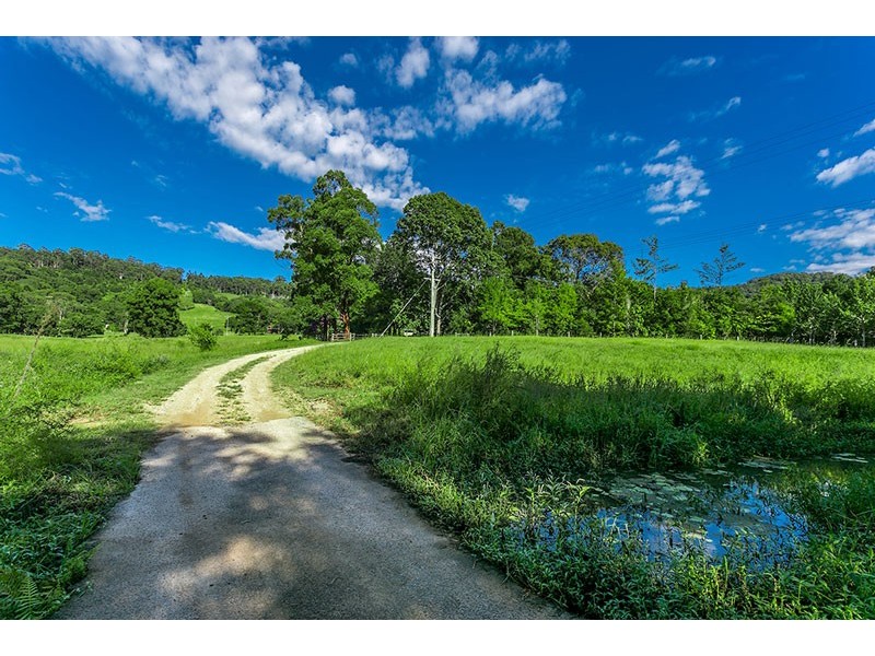 234 Dingo Lane, Myocum NSW 2481