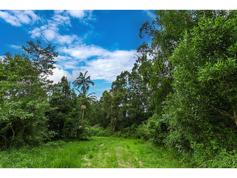 182 Rocky Creek Dam Road, Dunoon NSW 2480