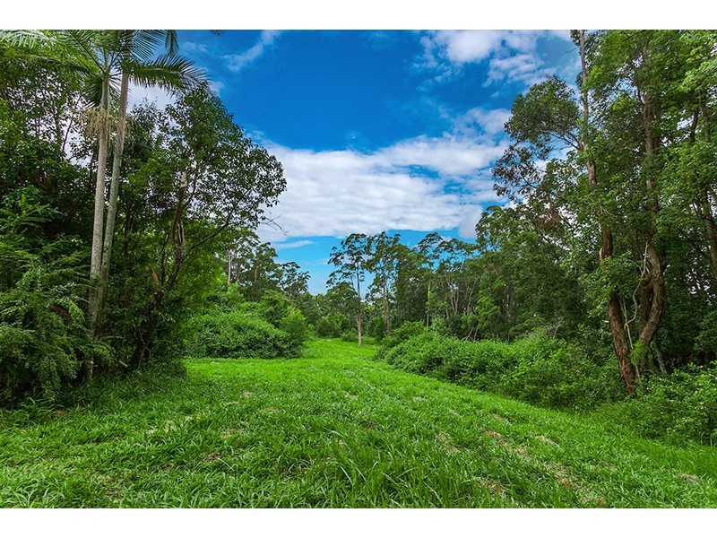 182 Rocky Creek Dam Road, Dunoon NSW 2480