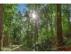 182 Rocky Creek Dam Road, Dunoon NSW 2480