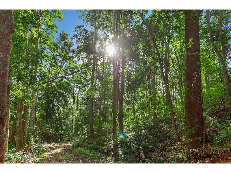 182 Rocky Creek Dam Road, Dunoon NSW 2480