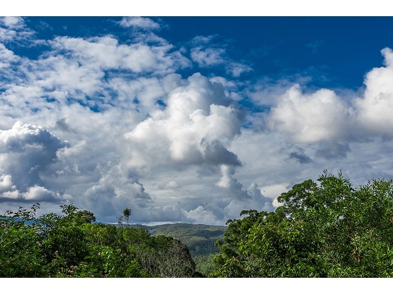 182 Rocky Creek Dam Road, Dunoon NSW 2480