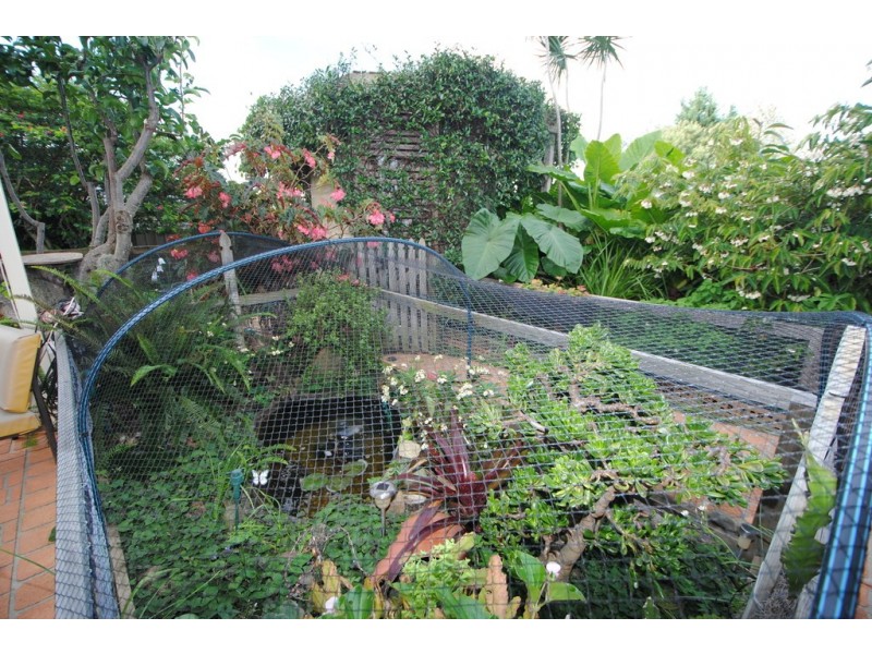 1 Sophia Road, Worrigee NSW 2540