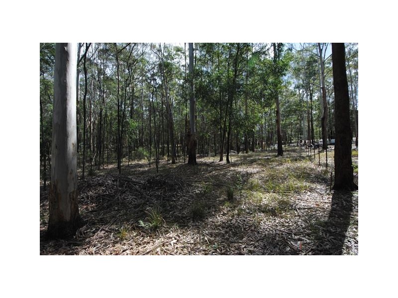 Lot 24 Jerberra Road, Tomerong NSW 2540