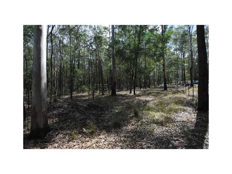 Lot 24 Jerberra Road, Tomerong NSW 2540
