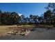 28 Eucalypt Lane, Tomerong NSW 2540
