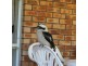 19 Second Avenue, Erowal Bay NSW 2540