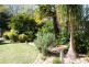 169 Kerry Street, Sanctuary Point NSW 2540