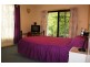 150 The Wool Road, Old Erowal Bay NSW 2540