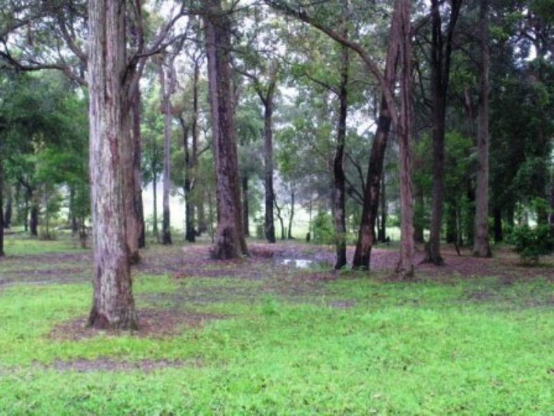 917 Sussex Inlet Rd, Sussex Inlet NSW 2540