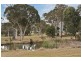 663 Sussex Inlet Rd, Sussex Inlet NSW 2540