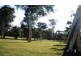 Lot 1321 Sussex Inlet Rd, Sussex Inlet NSW 2540