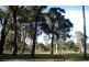 Lot 1321 Sussex Inlet Rd, Sussex Inlet NSW 2540
