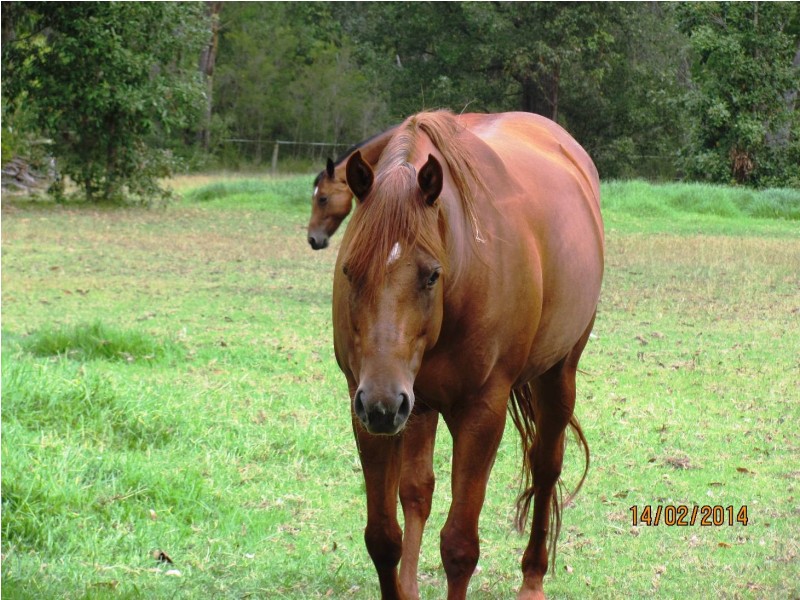 784 Sussex Inlet Rd, Sussex Inlet NSW 2540