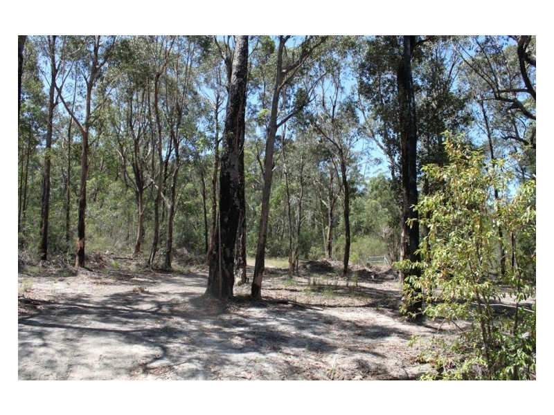 293 (LOT 1) Sussex Inlet Road, Sussex Inlet NSW 2540