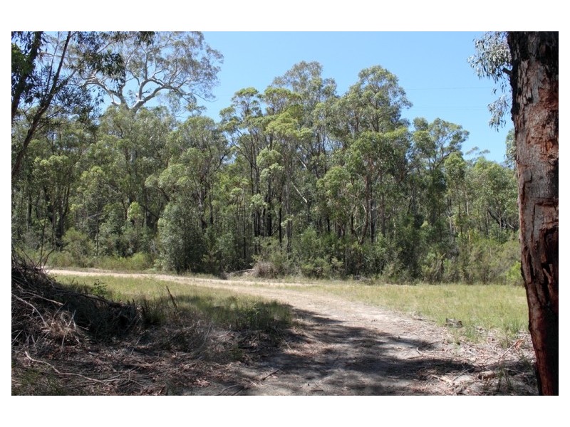 293 (LOT 1) Sussex Inlet Road, Sussex Inlet NSW 2540