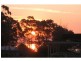 16 Walmer Ave, Sanctuary Point NSW 2540
