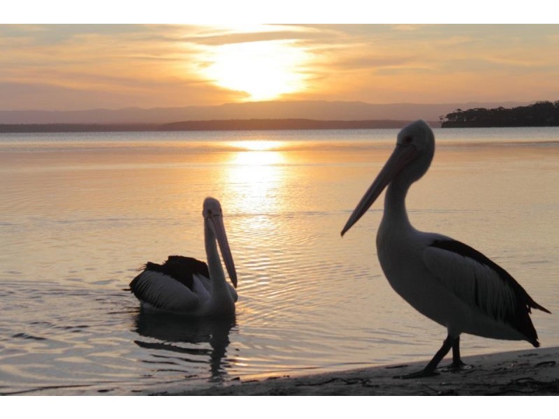 24 Reid Street, Wrights Beach NSW 2540