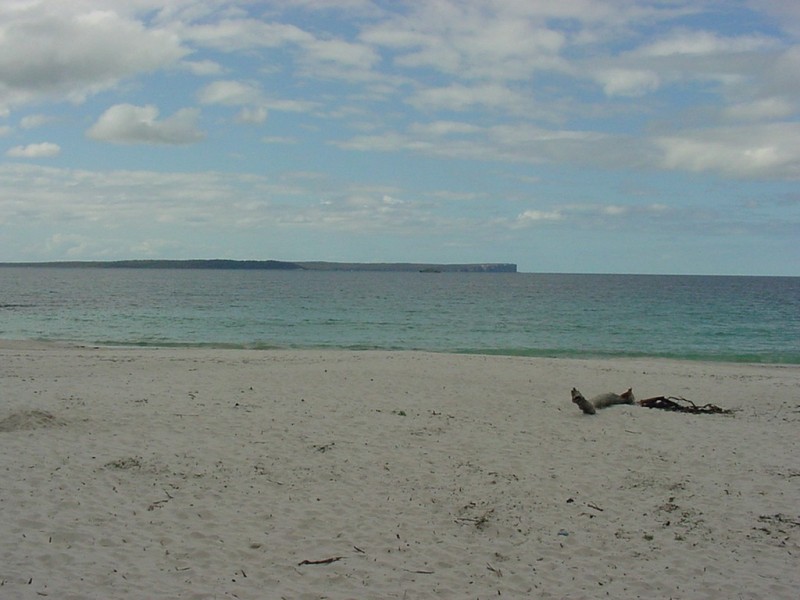 69 Frederick Street, Vincentia NSW 2540