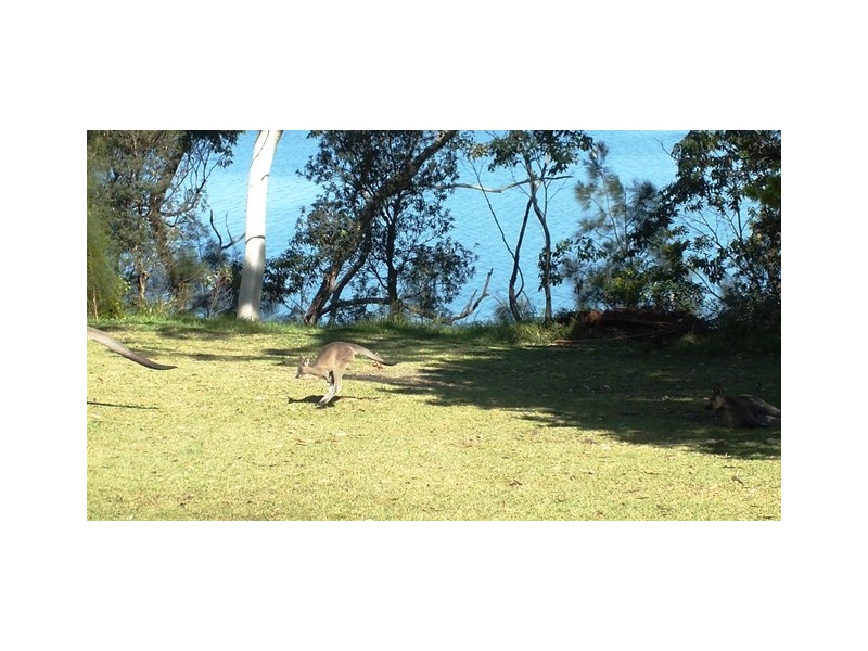 16 Greville Avenue, Sanctuary Point NSW 2540