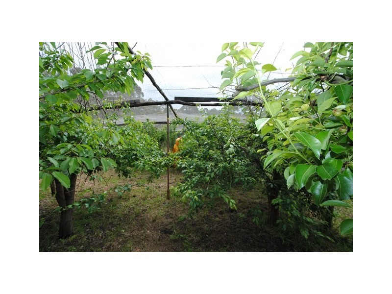 95 Jerberra Road, Tomerong NSW 2540