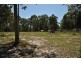 109 Jerberra Road, Tomerong NSW 2540