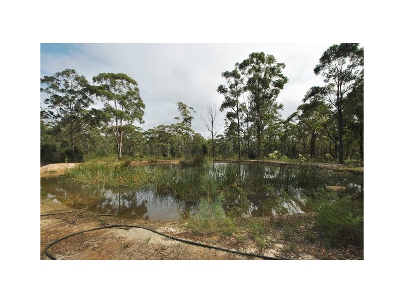 Jerrawangala NSW 2540