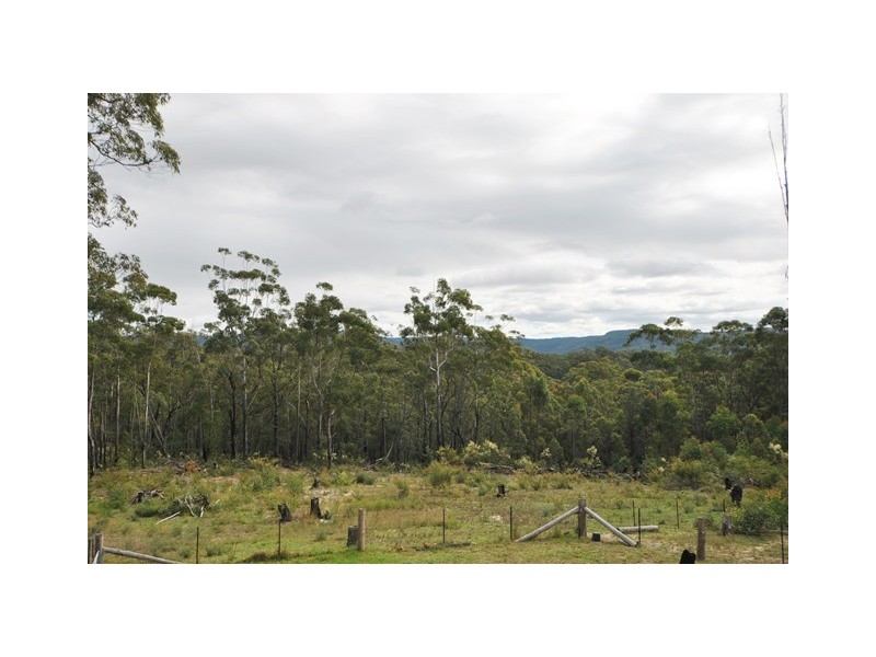 Jerrawangala NSW 2540