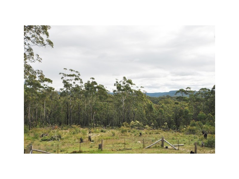 Jerrawangala NSW 2540