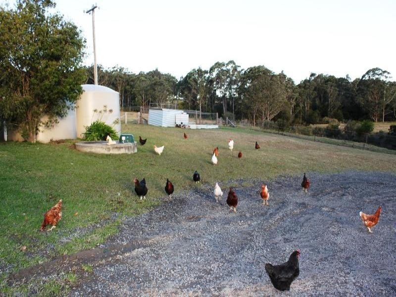 45 Hayward Road, Wandandian NSW 2540