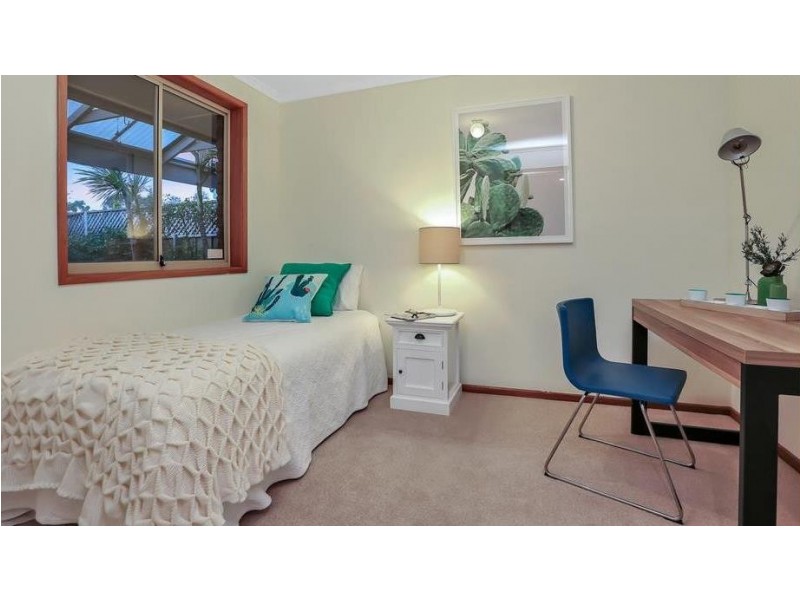 5 Petrel Court, Flagstaff Hill SA 5159