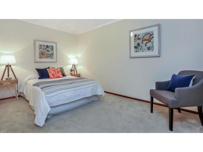 5 Petrel Court, Flagstaff Hill SA 5159