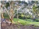 152 Peters Creek Road, Kangarilla SA 5157