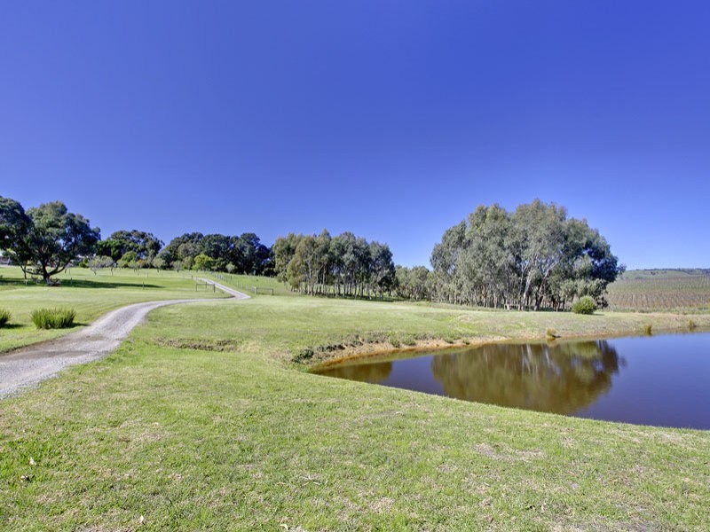 113A Adams Road, Blewitt Springs SA 5171