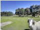 113A Adams Road, Blewitt Springs SA 5171