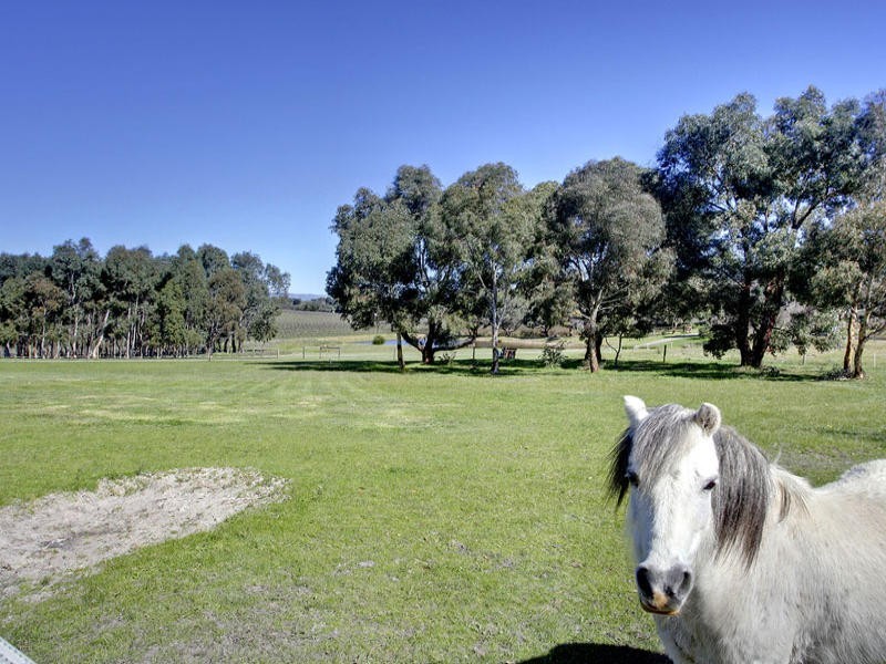 113A Adams Road, Blewitt Springs SA 5171