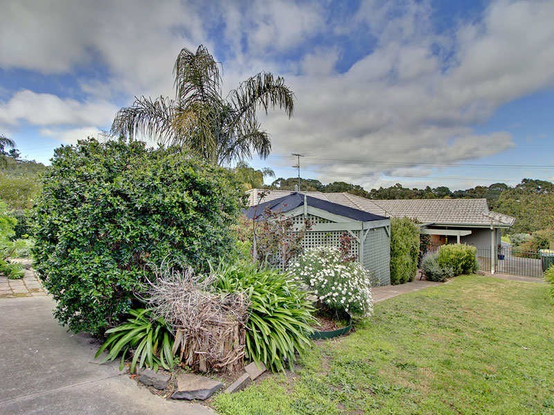 51 Tania Drive, Aberfoyle Park SA 5159