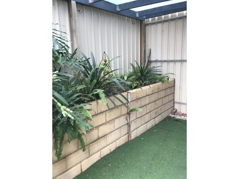 15 John Terrace, O’sullivan Beach SA 5166