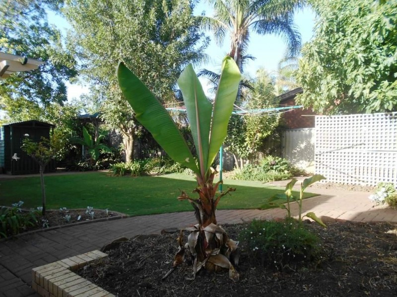 12 CAMILLE STREET, Hallett Cove SA 5158