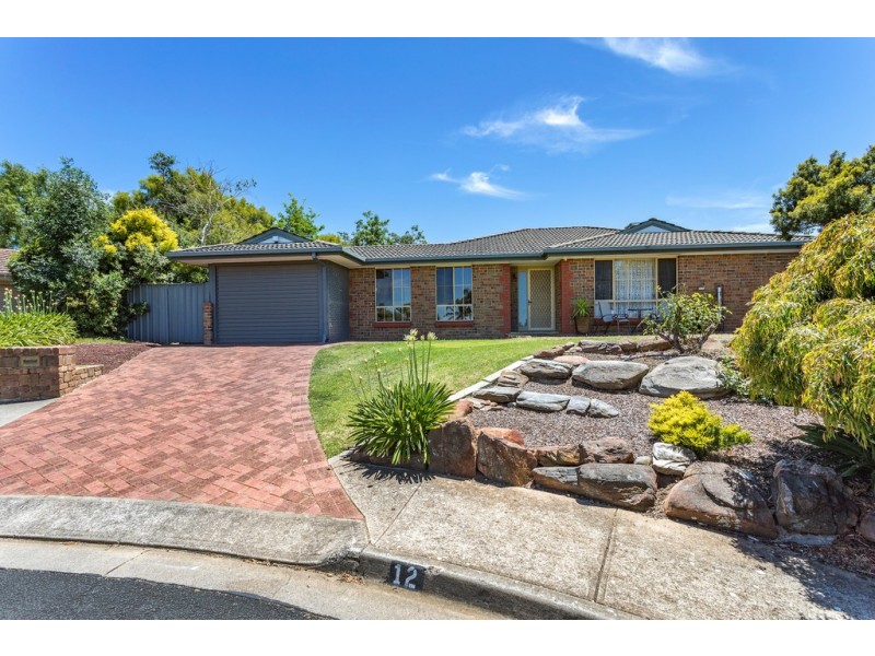 12 Hele Crescent, Trott Park SA 5158