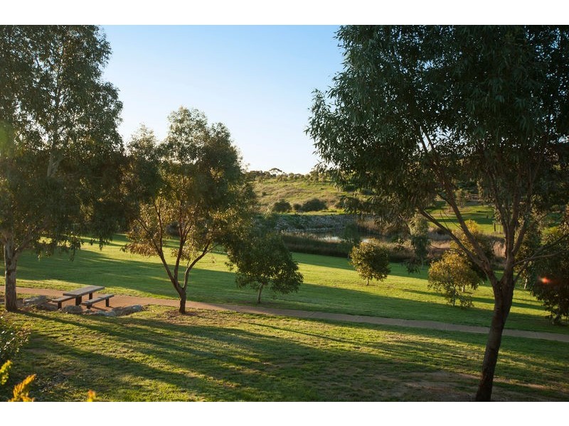 12 Lacebark Court, Flagstaff Hill SA 5159