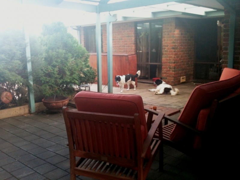 17 Chynoweth Avenue, Hackham SA 5163